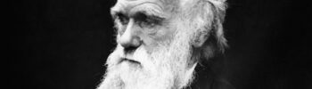 Charles Darwin entwickelte im 19. Jh. die Evolutionstheorie